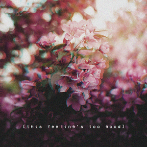 能免费播放的性爱小电影
